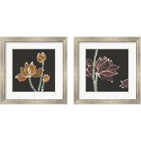 Framed Lotus on Black 2 Piece Framed Art Print Set