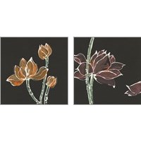 Framed Lotus on Black 2 Piece Art Print Set