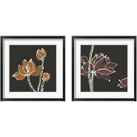 Framed Lotus on Black 2 Piece Framed Art Print Set