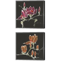 Framed Magnolia on Black 2 Piece Canvas Print Set