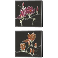 Framed 'Magnolia on Black 2 Piece Canvas Print Set' border=