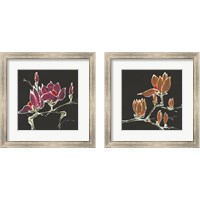 Framed Magnolia on Black 2 Piece Framed Art Print Set