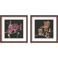 Framed Magnolia on Black 2 Piece Framed Art Print Set