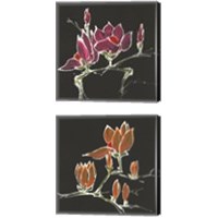 Framed 'Magnolia on Black 2 Piece Canvas Print Set' border=