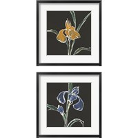 Framed Iris on Black 2 Piece Framed Art Print Set