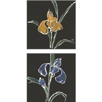 Framed Iris on Black 2 Piece Art Print Set