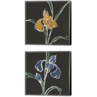 Framed 'Iris on Black 2 Piece Canvas Print Set' border=