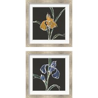 Framed 'Iris on Black 2 Piece Framed Art Print Set' border=