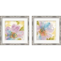 Framed Flower Tints  2 Piece Framed Art Print Set