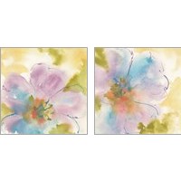 Framed 'Flower Tints  2 Piece Art Print Set' border=