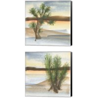 Framed 'Desert Floral 2 Piece Canvas Print Set' border=