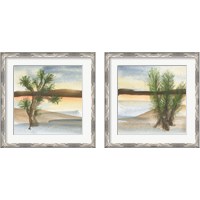 Framed 'Desert Floral 2 Piece Framed Art Print Set' border=