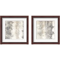 Framed 'Gray Circles 2 Piece Framed Art Print Set' border=