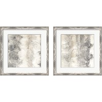 Framed 'Gray Circles 2 Piece Framed Art Print Set' border=