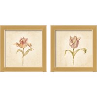Framed Tulip on White 2 Piece Framed Art Print Set