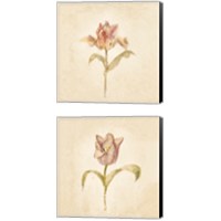 Framed 'Tulip on White 2 Piece Canvas Print Set' border=