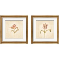 Framed 'Tulip on White 2 Piece Framed Art Print Set' border=