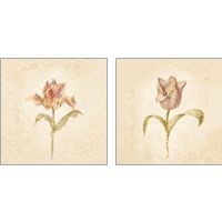 Framed 'Tulip on White 2 Piece Art Print Set' border=