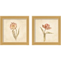 Framed Tulip on White 2 Piece Framed Art Print Set