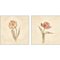 Framed 'Tulip on White 2 Piece Art Print Set' border=