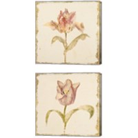 Framed 'Vintage Tulip 2 Piece Canvas Print Set' border=
