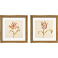 Framed 'Vintage Tulip 2 Piece Framed Art Print Set' border=