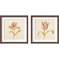 Framed 'Vintage Tulip 2 Piece Framed Art Print Set' border=