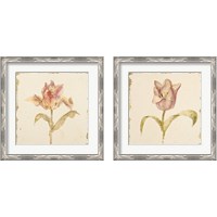 Framed 'Vintage Tulip 2 Piece Framed Art Print Set' border=