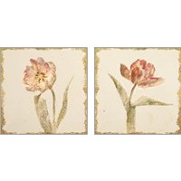 Framed 'Vintage Tulip 2 Piece Art Print Set' border=