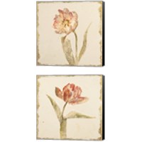 Framed 'Vintage Tulip 2 Piece Canvas Print Set' border=