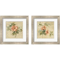 Framed 'Provence Rose 2 Piece Framed Art Print Set' border=