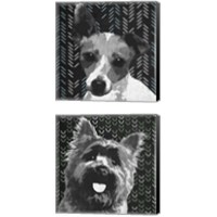 Framed BW Dog 2 Piece Canvas Print Set