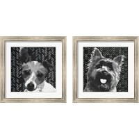 Framed 'BW Dog 2 Piece Framed Art Print Set' border=