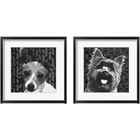 Framed 'BW Dog 2 Piece Framed Art Print Set' border=