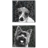 Framed 'BW Dog 2 Piece Canvas Print Set' border=