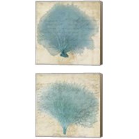 Framed 'Blue Coral 2 Piece Canvas Print Set' border=