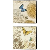 Framed 'Butterfly in Flight 2 Piece Canvas Print Set' border=