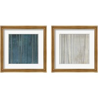 Framed 'Tenuous  2 Piece Framed Art Print Set' border=