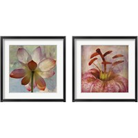 Framed 'Lovely Lily 2 Piece Framed Art Print Set' border=