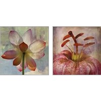 Framed 'Lovely Lily 2 Piece Art Print Set' border=