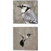 Framed Feathered  2 Piece Canvas Print Set