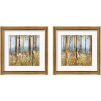 Framed 'Field of Flowers 2 Piece Framed Art Print Set' border=