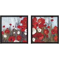 Framed 'Passion Poppies 2 Piece Framed Art Print Set' border=