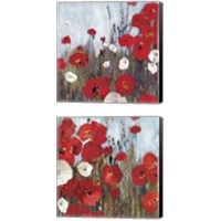 Framed 'Passion Poppies 2 Piece Canvas Print Set' border=
