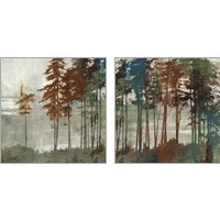 Framed 'Spruce Woods 2 Piece Art Print Set' border=