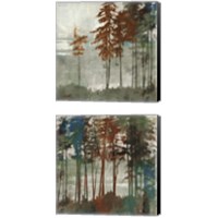 Framed 'Spruce Woods 2 Piece Canvas Print Set' border=