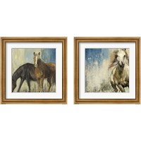 Framed Horses 2 Piece Framed Art Print Set