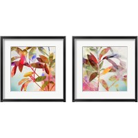 Framed Charlotte  2 Piece Framed Art Print Set