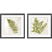 Framed 'Fern 2 Piece Framed Art Print Set' border=