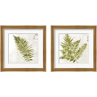 Framed 'Fern 2 Piece Framed Art Print Set' border=